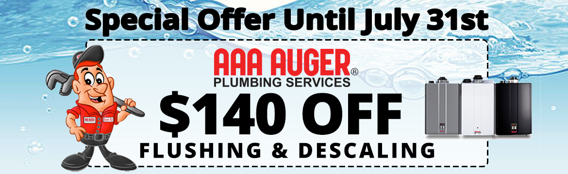 Special offer for flushing and descaling tankless water heater