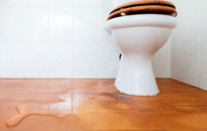 Minimize damage from toilet overflowing.