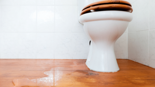 Toilet Overflow: Immediate Actions to Minimize Damage